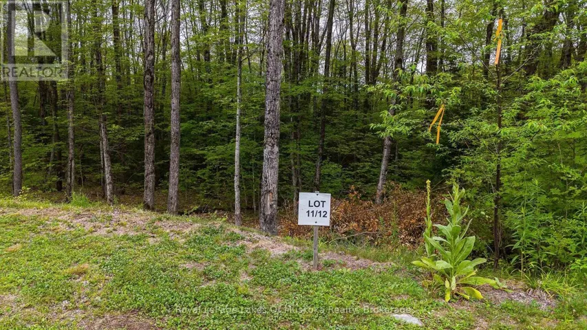 LOT 11 MILLIE’S WAY, Armour, Ontario P0A1C0