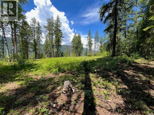 7498 Highway 6, Winlaw, British Columbia V0G2J0