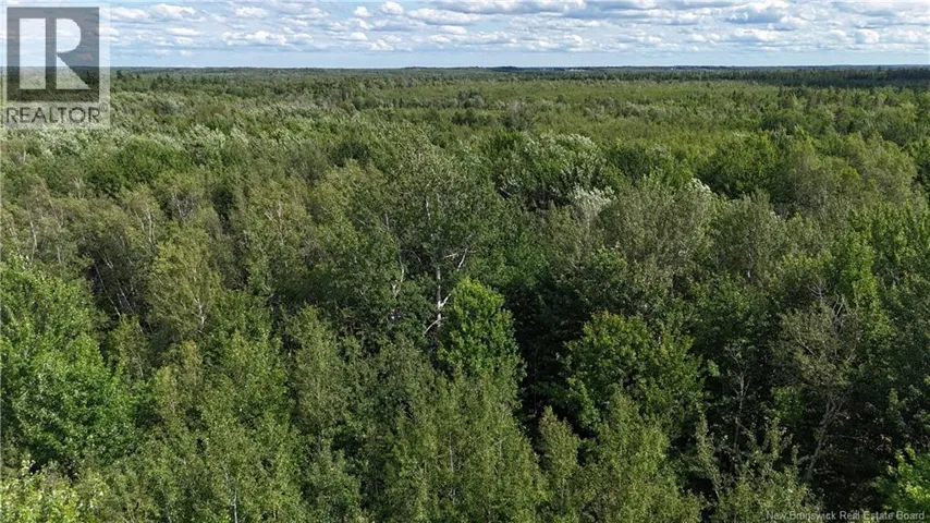 LOT 21-2 St-Augustin, Adamsville, New Brunswick E4T2E9