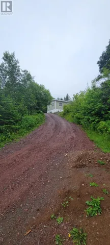 328 Main Road, Lewin's Cove, Newfoundland & Labrador A0E2G0