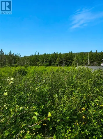 168 Hodgewater Line, South River, Newfoundland & Labrador A0A3W0