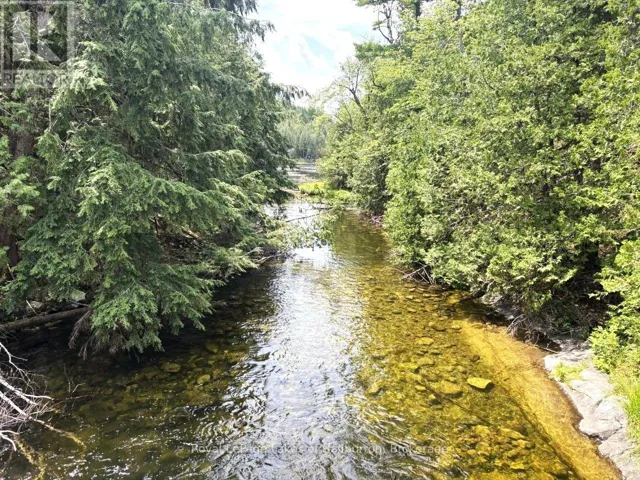 BESIDE 1456 CRYSTAL LAKE ROAD, Trent Lakes, Ontario K0M2A0