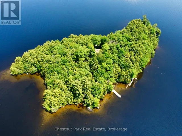 1 CEDAR ISLAND, Muskoka Lakes (Wood (Muskoka Lakes)), Ontario P0B1J0