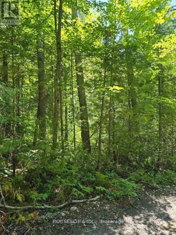 PT LT 3 CONCESSION 8 PT 123, Trent Hills, Ontario K0L1V0