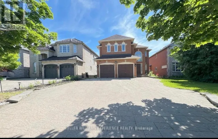 BSMT - 44 ALPINE CRESCENT, Richmond Hill (Rouge Woods), Ontario L4S1W4
