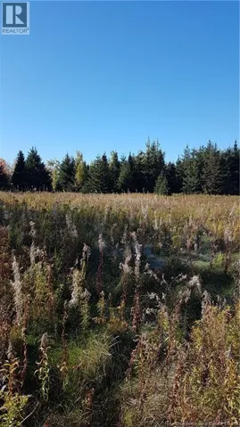 LOT Desroches Road, McIntosh Hill, New Brunswick E4J4L1