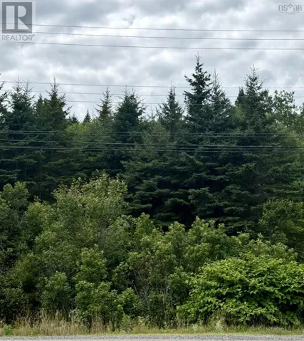 496 Highway 4, Folly Lake, Nova Scotia B2N2V1