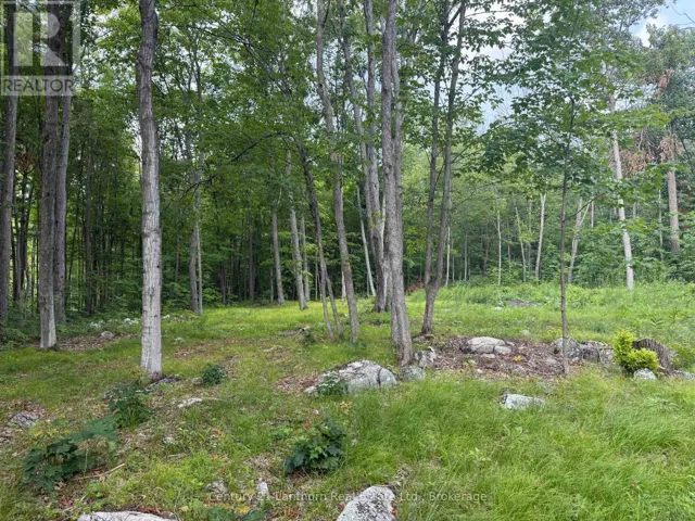 554 PIGDEN ROAD, Madoc, Ontario K0K2K0