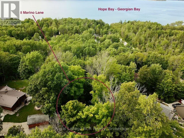Cabin set in the trees steps from Georgian Bay.