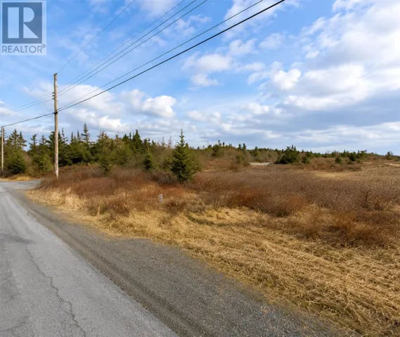 163 Ridge Road, Spaniard's Bay, Newfoundland & Labrador A0A3X0