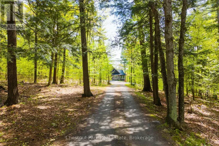 Beautiful private drive
