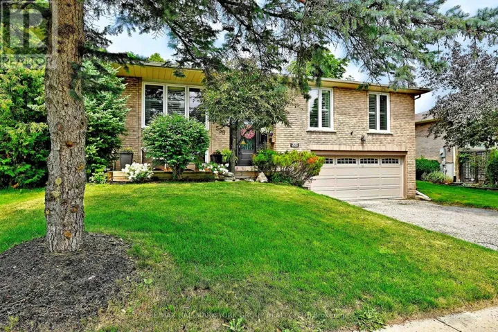 559 HAINES ROAD, Newmarket (Bristol-London), Ontario L3Y6V4