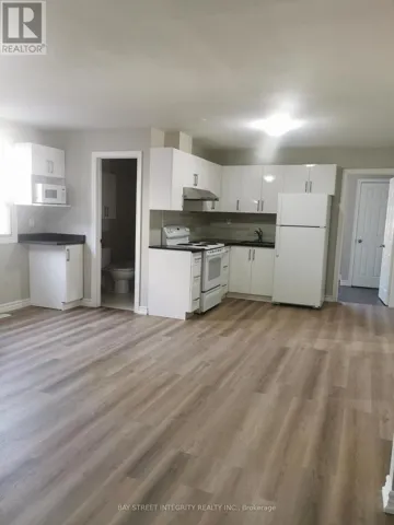 7 D'ARCY STREET, Toronto (Kensington-Chinatown), Ontario M5T1J8