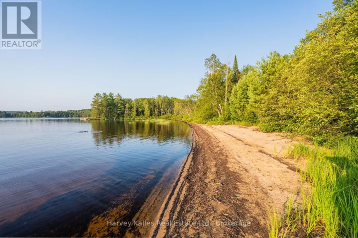 461' of sandy beach on Buck Lake