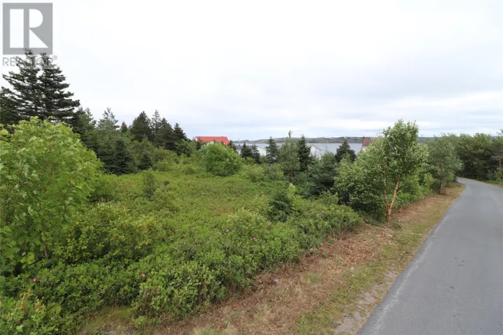16 Hardings Lane, Bay Roberts, Newfoundland & Labrador A0A1G0