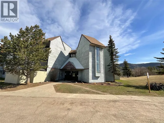 320 Northgate Unit# 209, Tumbler Ridge, British Columbia V0C2W0