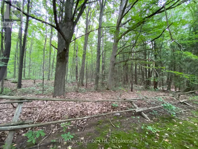 0 COUNTY RD 30, Brighton, Ontario K0K1H0