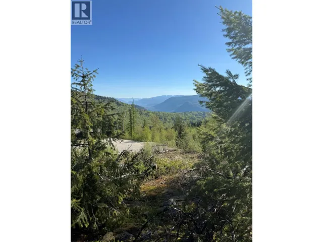 Lot C RICHIE Road, Rossland, British Columbia V0G1Y0