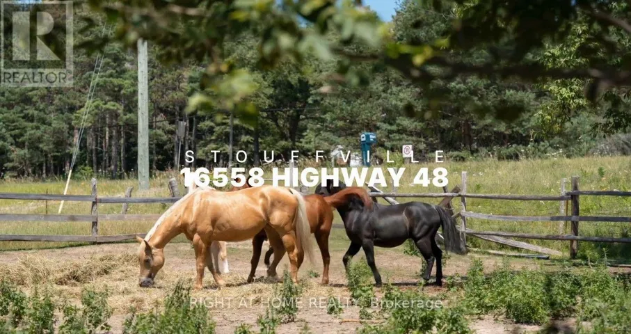 16558 HIGHWAY 48, Whitchurch-Stouffville, Ontario L4A7X4