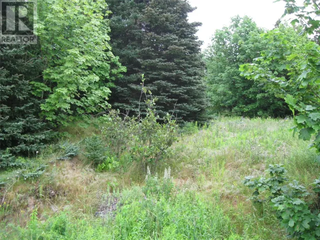54 N Robert's Road N, Conception Bay South, Newfoundland & Labrador A1X6K2