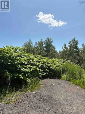 0 Lorway Avenue, Reserve Mines, Nova Scotia B1E1E4