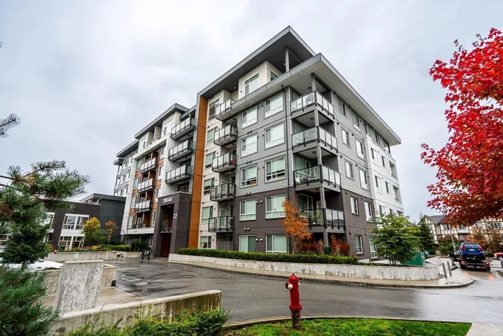 B228 20834 80 AVENUE, Langley, British Columbia V2Y3M6