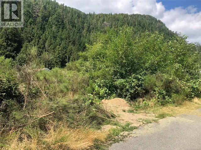 9 Freda Rd, Tahsis, British Columbia V0P1X0