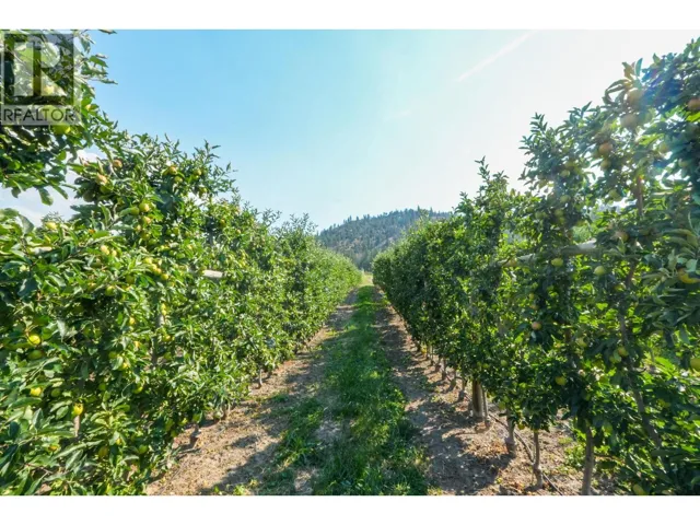 9827 Gillard Avenue, Summerland, British Columbia V0H1Z8