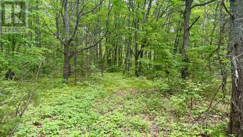 207 MIDDLE RIDGE ROAD, Brighton, Ontario K0K1H0