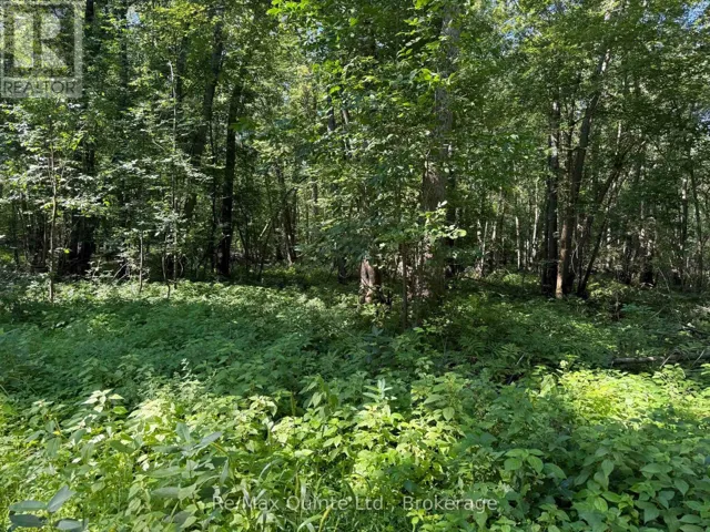 0 TRILLIUM LANE, Tweed (Hungerford (Twp)), Ontario K0K3J0