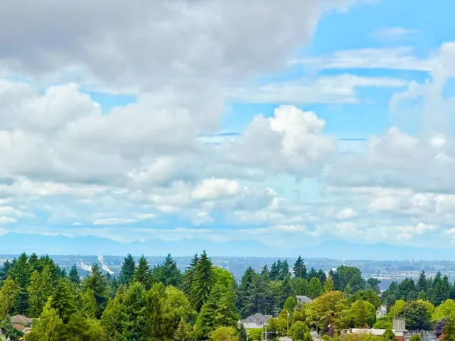 1911 10448 UNIVERSITY DRIVE, Surrey, British Columbia V3T0S7