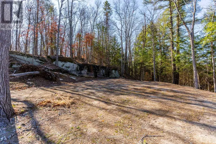 0 BOUGHNER ROAD, Dysart et al (Dysart), Ontario K0M1S0