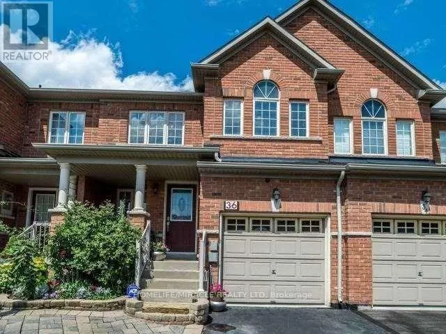 36 LACEBARK COURT, Brampton (Sandringham-Wellington), Ontario L6R3M8