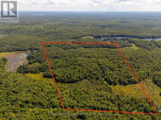 L13C6BR HUNTSVILLE, Huntsville, Ontario P1H2J3