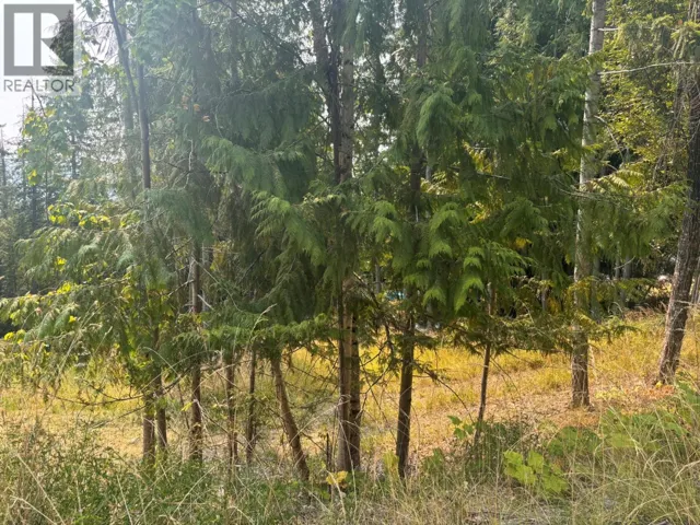 Lot 170 Estate Close, Anglemont, British Columbia V0E1M8