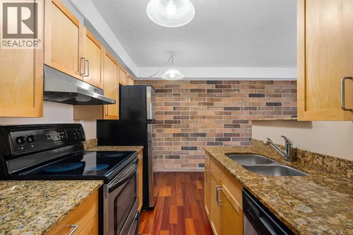 #404, 315 9A Street NW, Calgary, Alberta T2N1T7