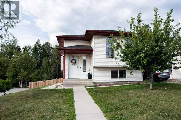 382 Skogg Avenue, Hinton, Alberta T7V1A8