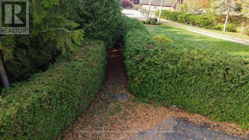 780