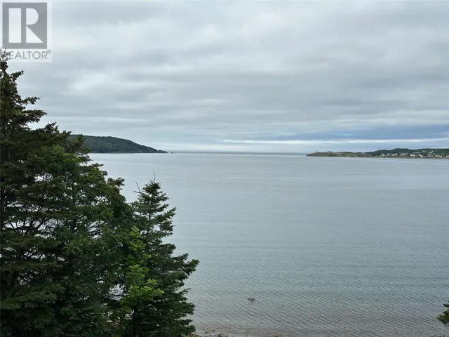 80-82 Cove Road, Hearts Content, Newfoundland & Labrador A0B1Z0