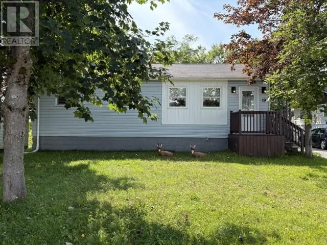 19 Atlantic Avenue, Stephenville, Newfoundland & Labrador A2N2G1