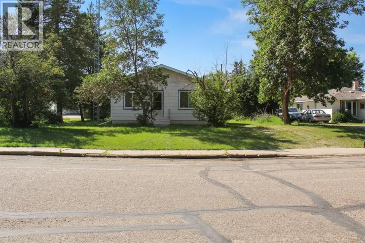 4925 49 Street, Sedgewick, Alberta T0B4C0