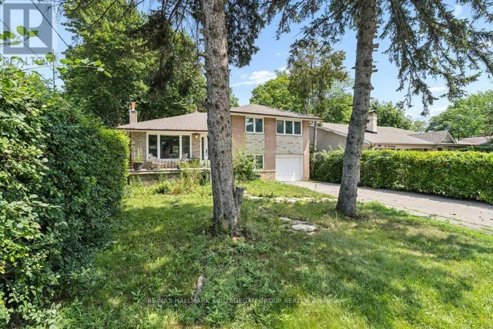 LOWER FL - 231 GOULDING AVENUE, Toronto (Newtonbrook West), Ontario M2R2P6