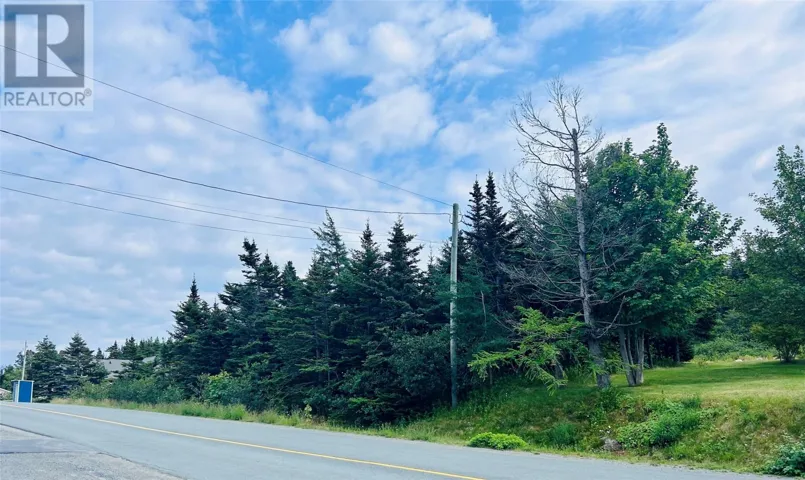 264 Bond's Path, Placentia, Newfoundland & Labrador A0B2Y0