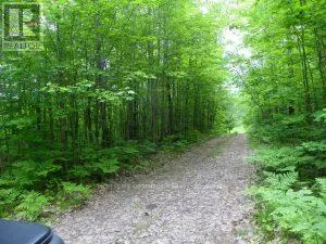 50 ACRES IN MUSKOKA NORTH OF BALA - PCL 31045, Muskoka Lakes (Medora), Ontario P0C1A0
