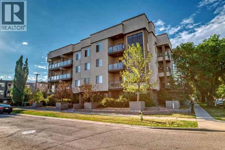 206, 488 7 Avenue NE, Calgary, Alberta T2E0N2
