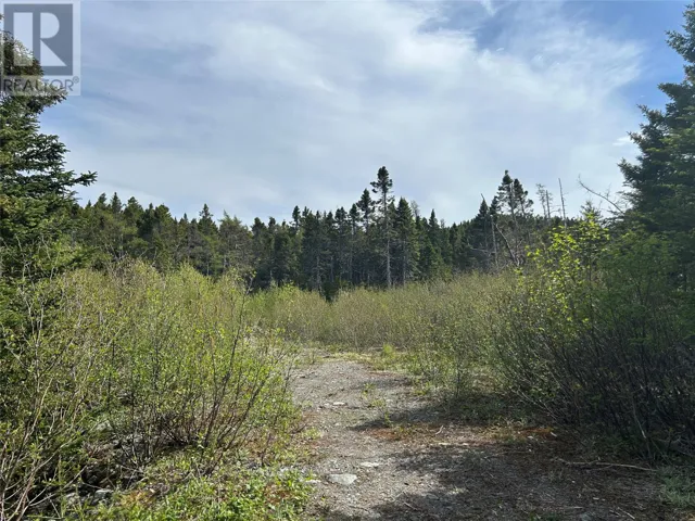 20 Ryan Road, Spaniard's bay, Newfoundland & Labrador A0A3X0
