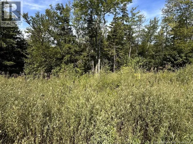 22 Orchard Avenue, Irishtown, New Brunswick E1H0J5