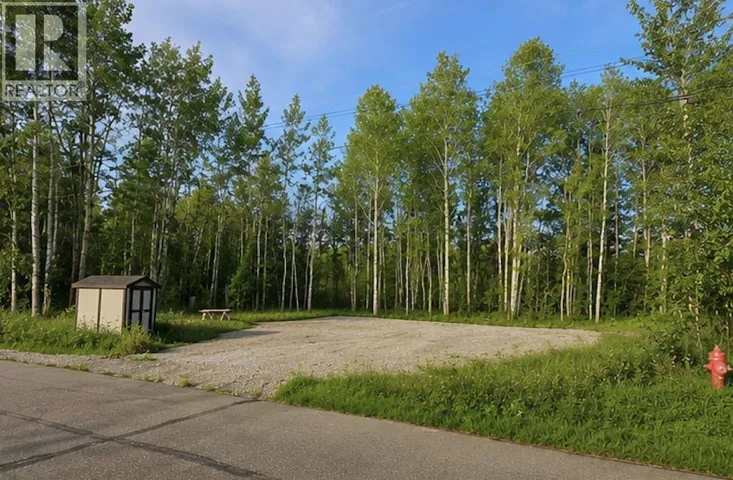 9908 ADAMS STREET, Hudsons Hope, British Columbia V0C1V0