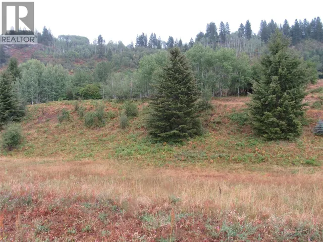 Lot 4 Pearson Road, Castlegar, British Columbia V1N4L2