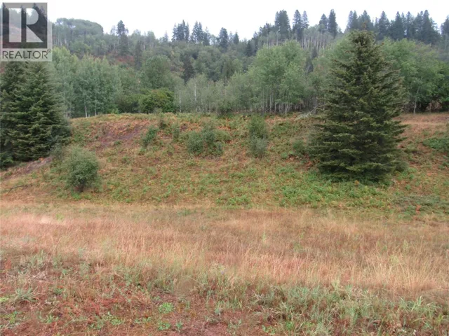 Lot 3 Pearson Road, Castlegar, British Columbia V1N4L2